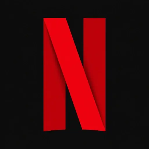 Netflix Subscription Account